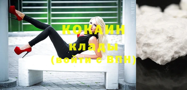 индика Вяземский