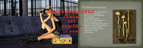 индика Вяземский