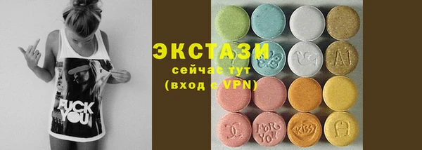 индика Вяземский