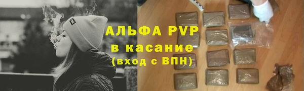 индика Вяземский