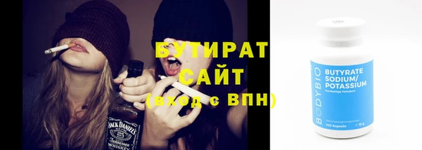 индика Вяземский