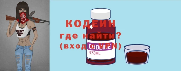 индика Вяземский