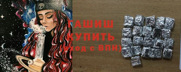 индика Вяземский
