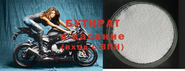 индика Вяземский