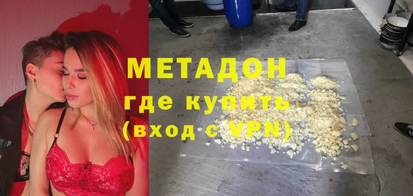 индика Вяземский