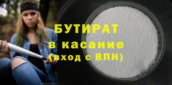 индика Вяземский