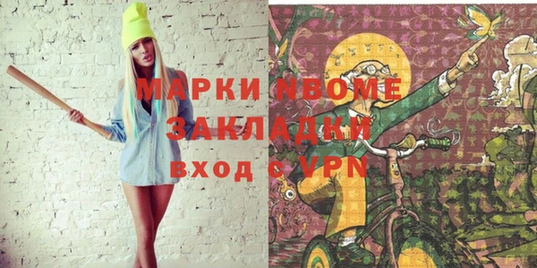 индика Вяземский