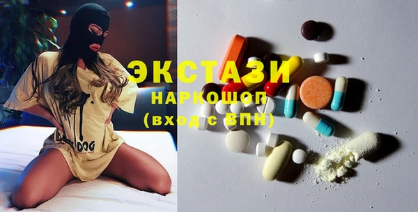 индика Вяземский