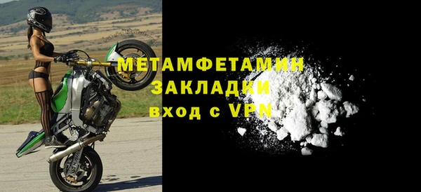 индика Вяземский